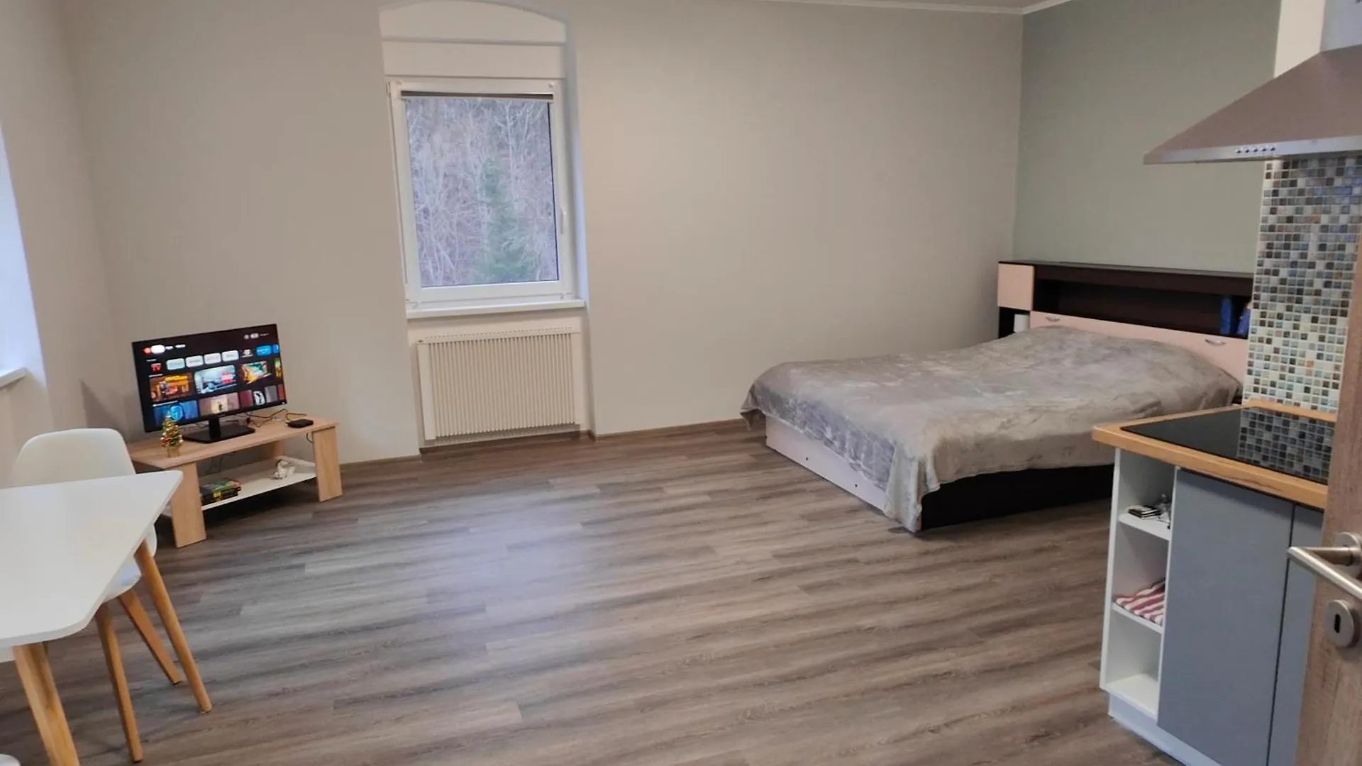 Apartament Villa Pirken Hammer Pirkenhammer Czechy